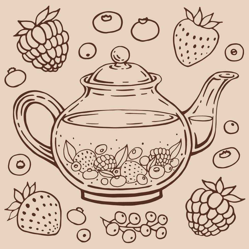 Glass teapot, berries. Hand drawn illustration in outline style vector