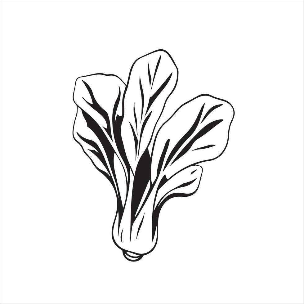 A black and white drawing of a leaf of lettuce vector