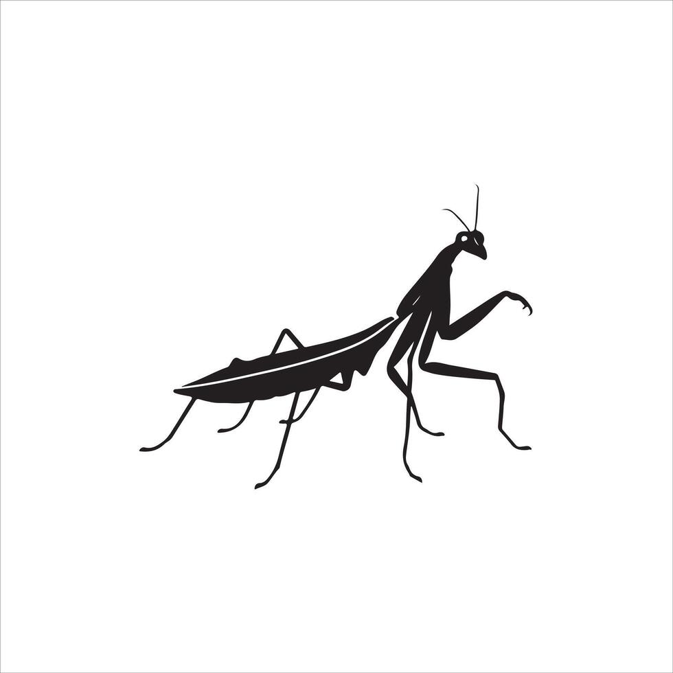 Praying mantis illustration vector
