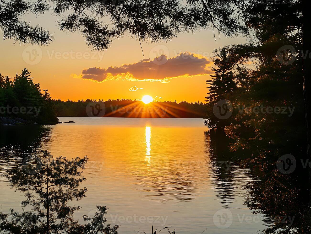 a sunset over a lake with trees in the background photo