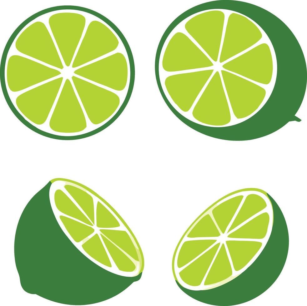 Sliced Lime Fruit Graphic Design Illustration In Format On White Background vector