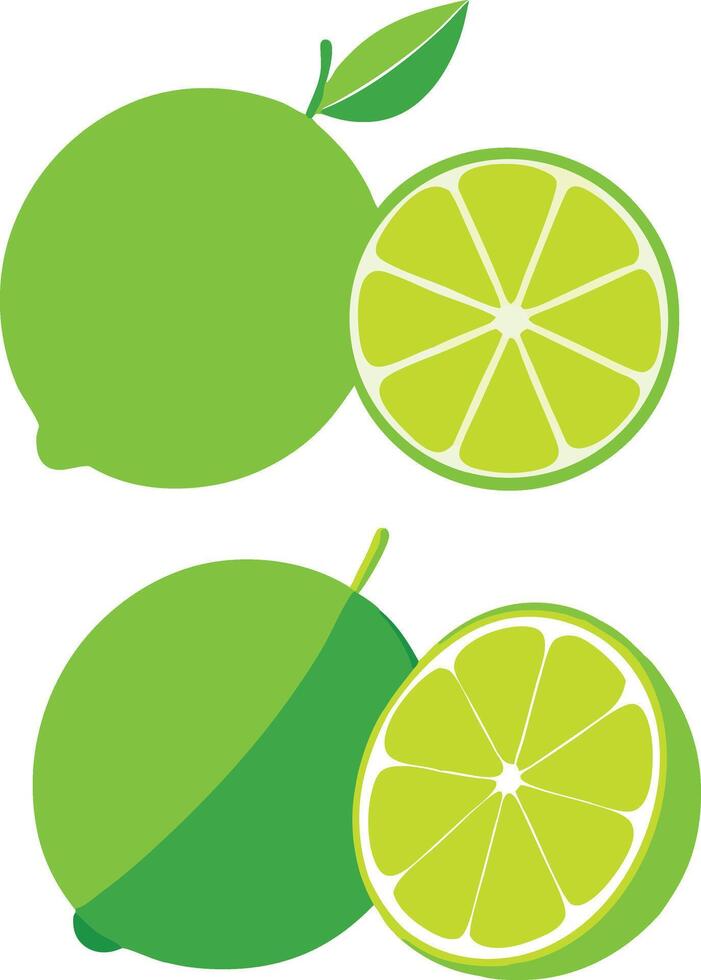 Green Lime Illustration With Half Slice On A White Background vector