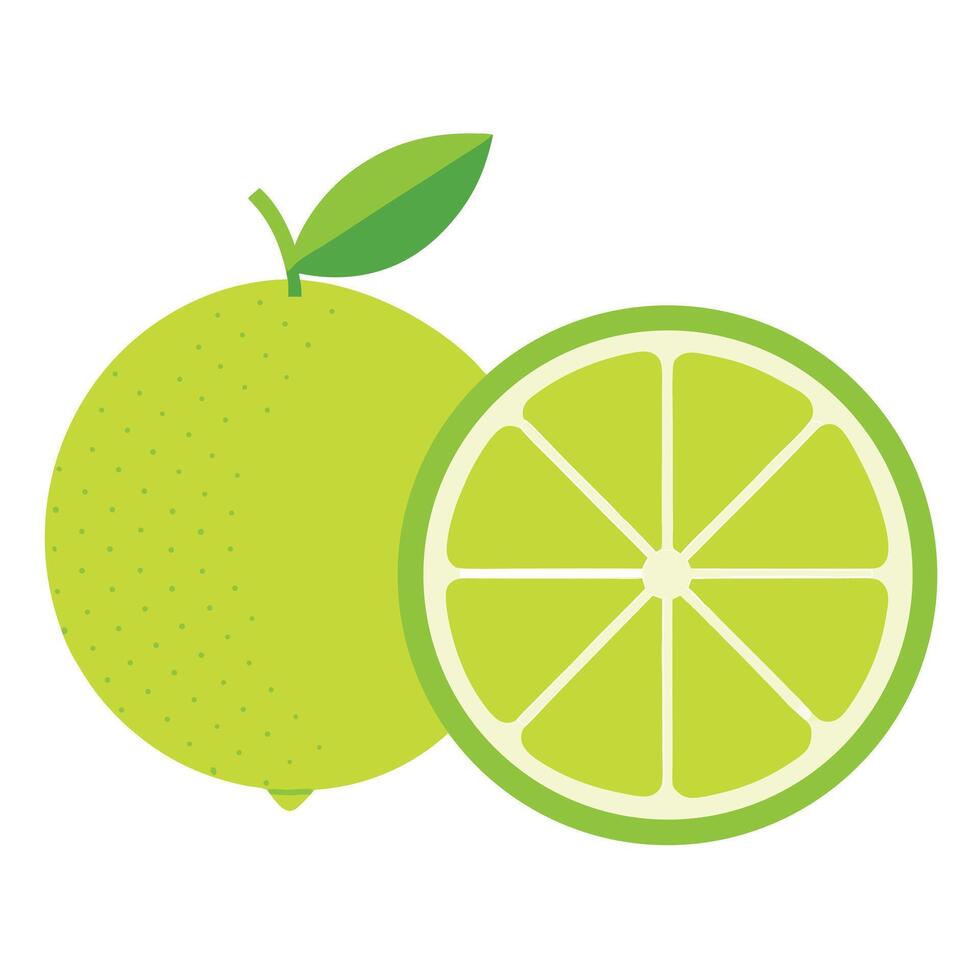 Illustration Of Fresh Lime And A Slice On White Background vector