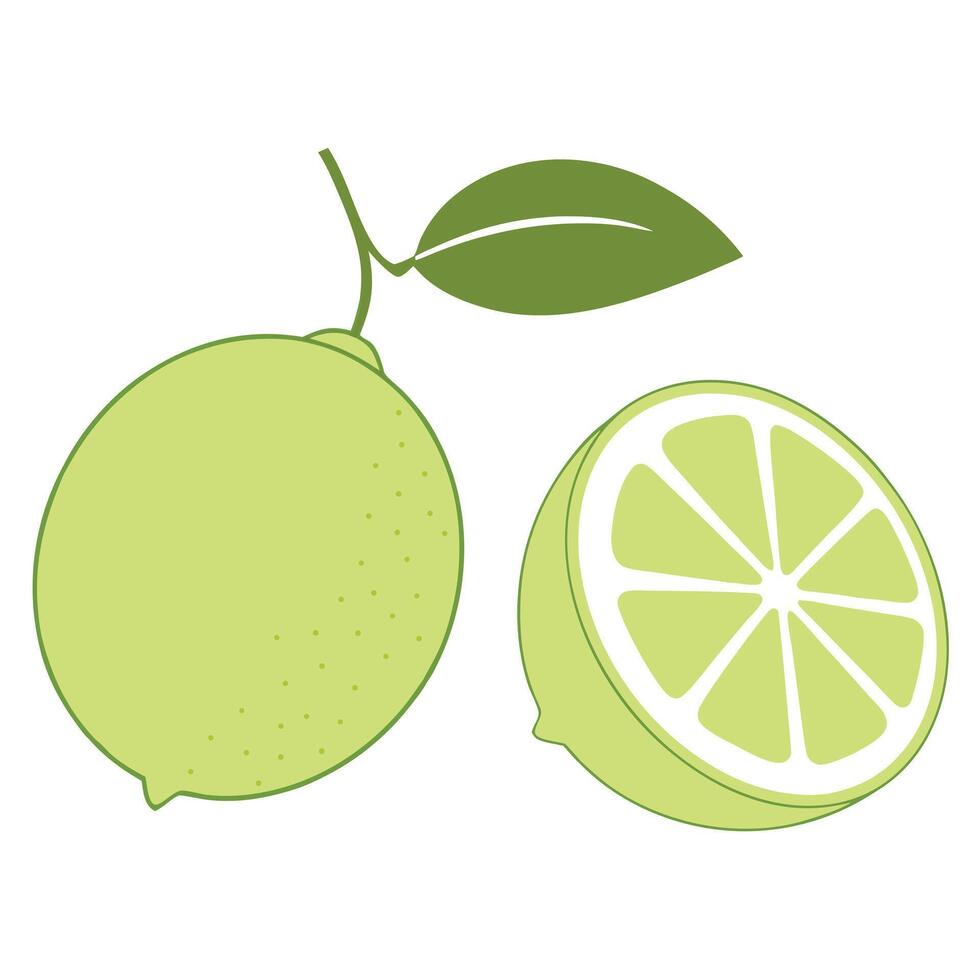 Lime Fruit Illustration Of Whole And Half With Leaf On White Background vector