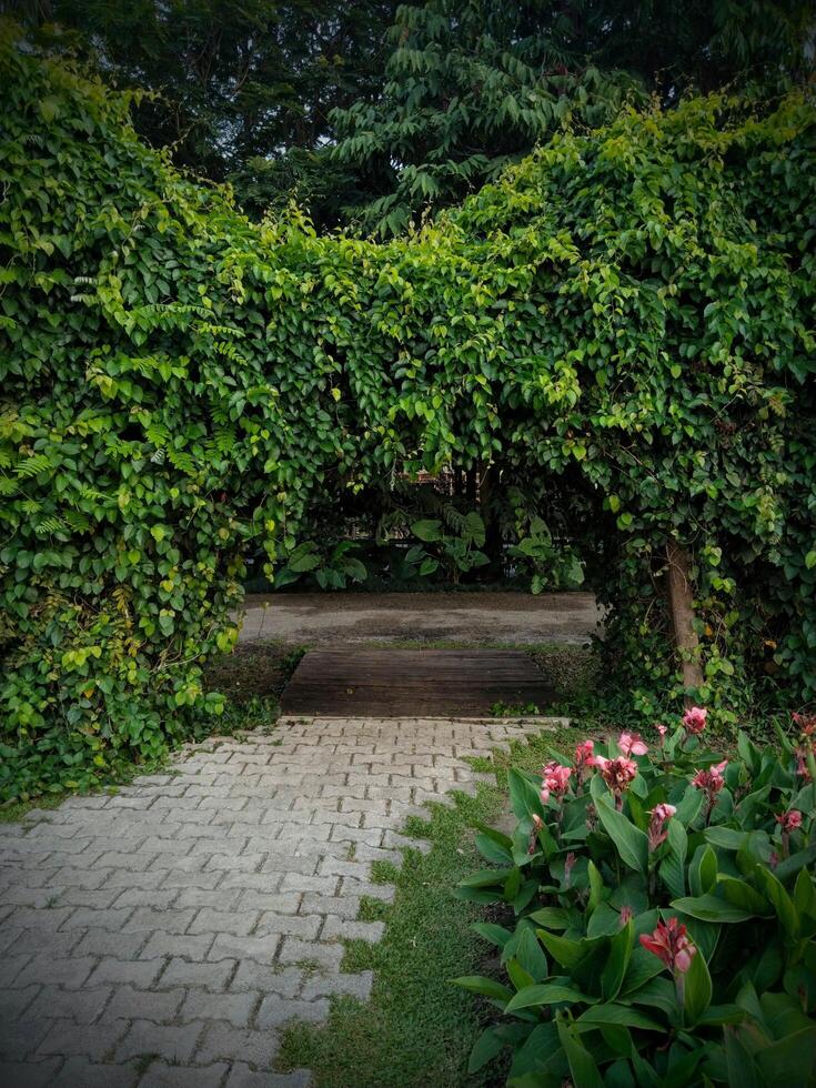 Pathway through the spring garden, a charming walkway surrounded by flowers and lush greenery photo