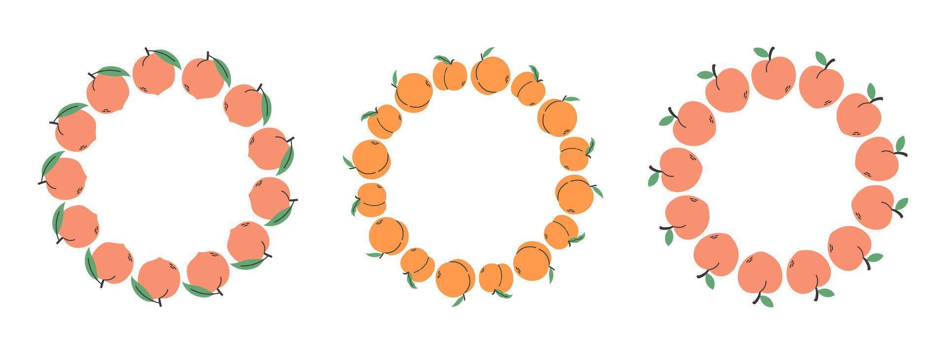 Fruit frame set. Peach design template, copy space. Cute hand drawn fruits round frame in doodle style. Circular template. Hand drawn fruits circle border. vector