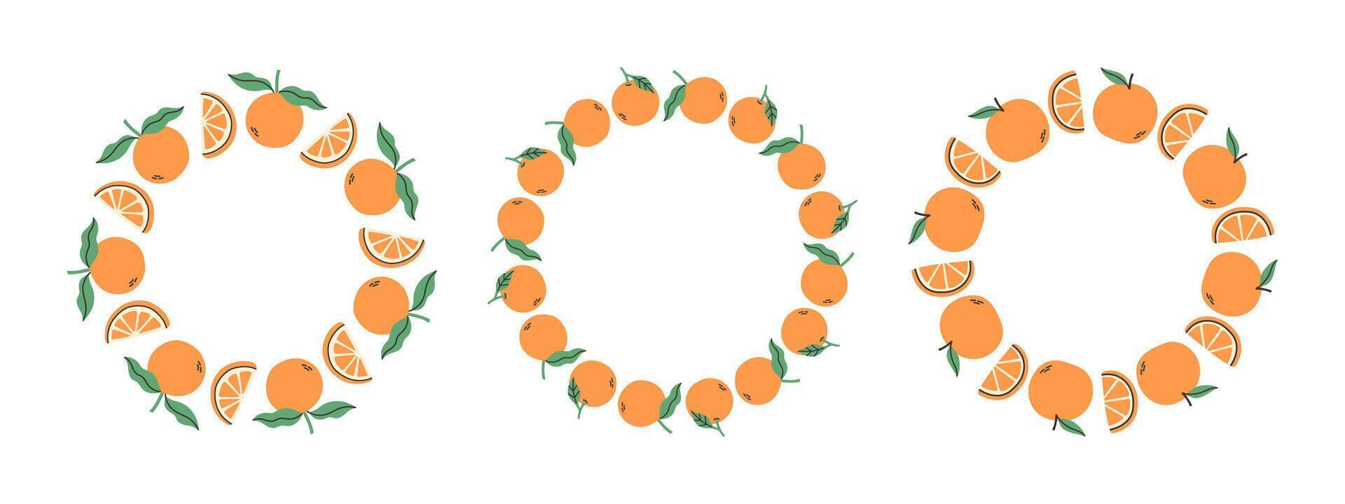 Fruit frame set. Orange design template, copy space. Cute hand drawn fruits round frame in doodle style. Circular template. Hand drawn fruits circle border. vector