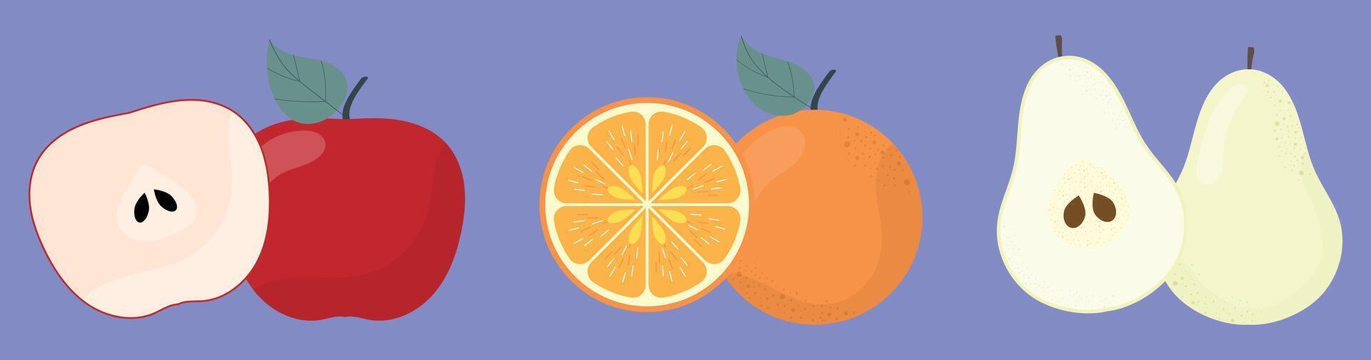 Fresh Tropical Fruit Collection Apple Orange Pear vector