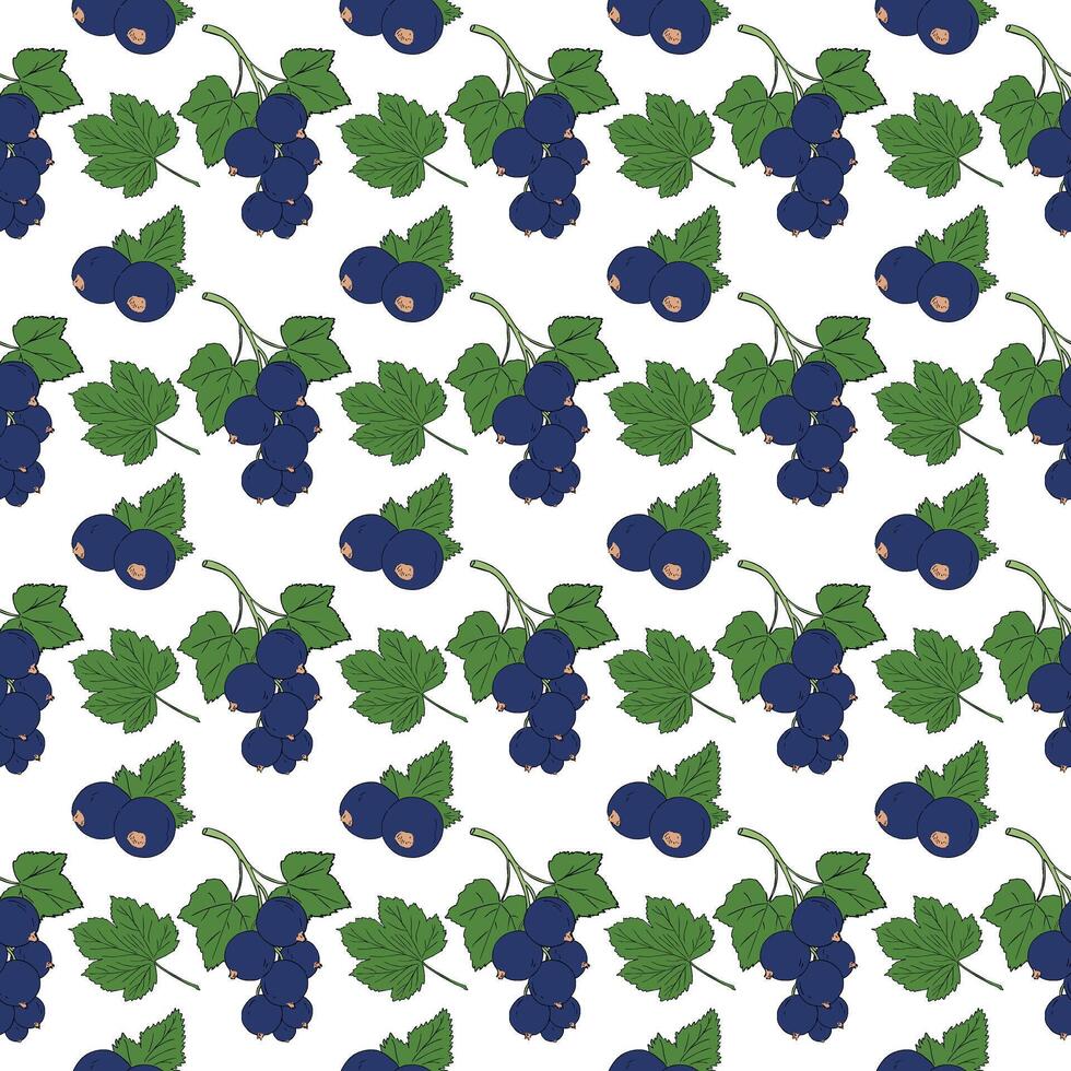 illustration berries and leaves black currant pattern seamless vector