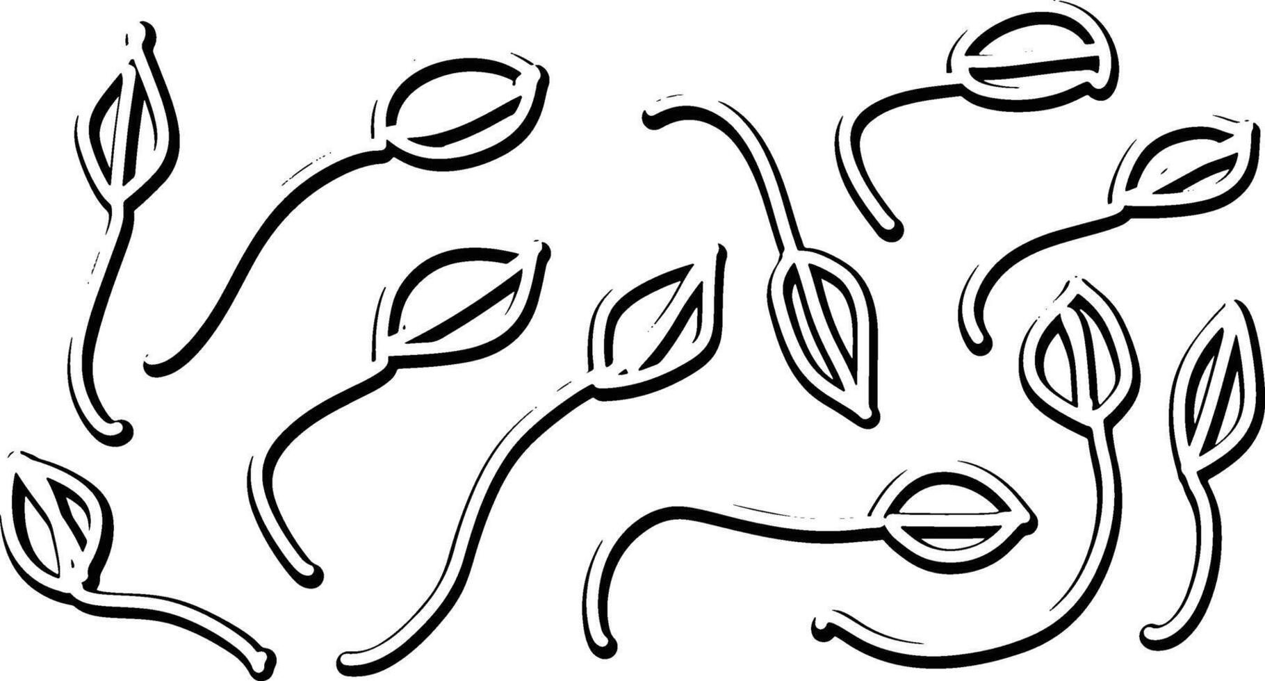 Set of Leaves vector
