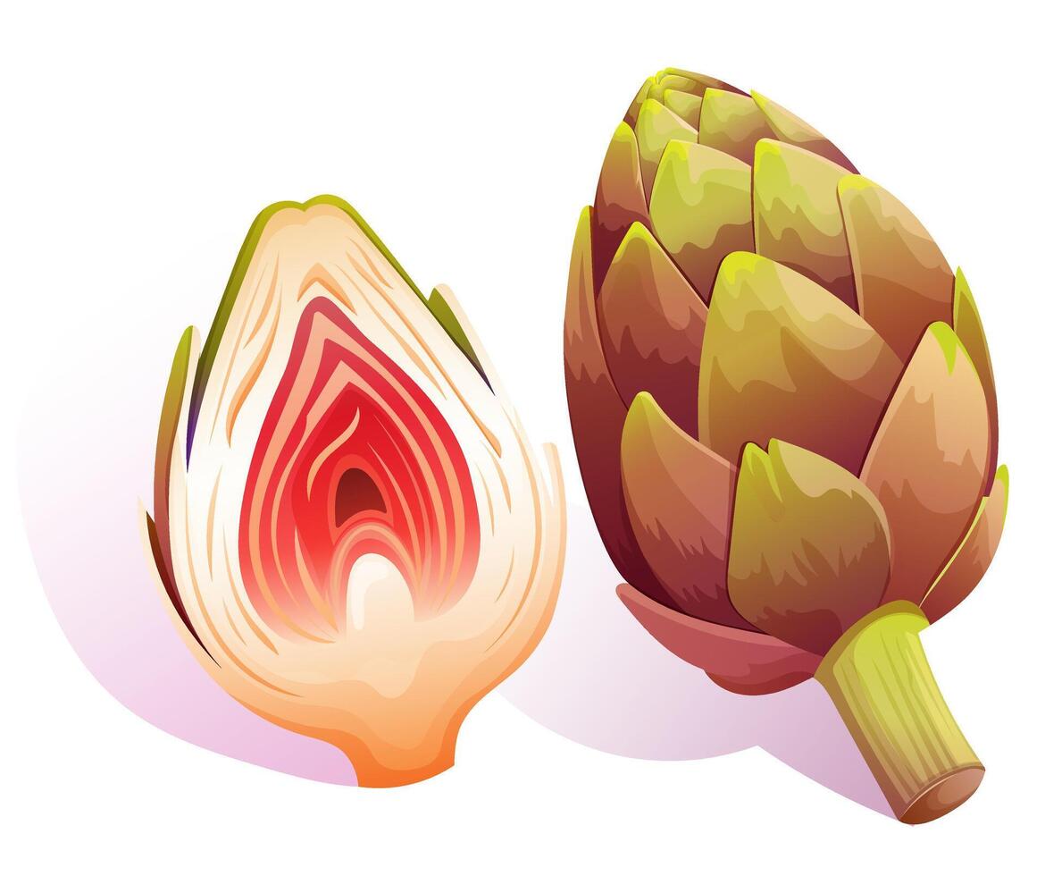 detailed whole and cut artichoke vector