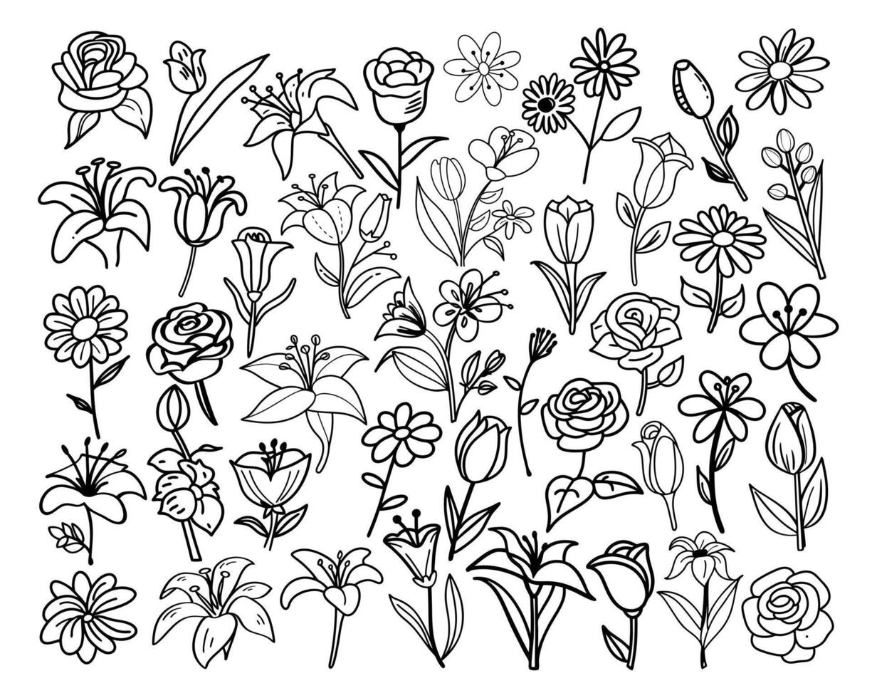 Elegant Hand Drawn Botanical Flower Line Art Minimalist Floral Elements for Decorative Use vector