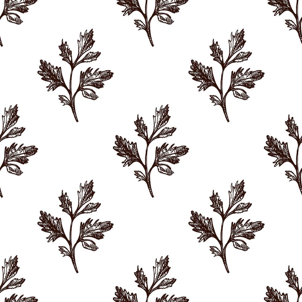 Retro sketch style seamless pattern of parsley leaves, hand drawn illustration vector