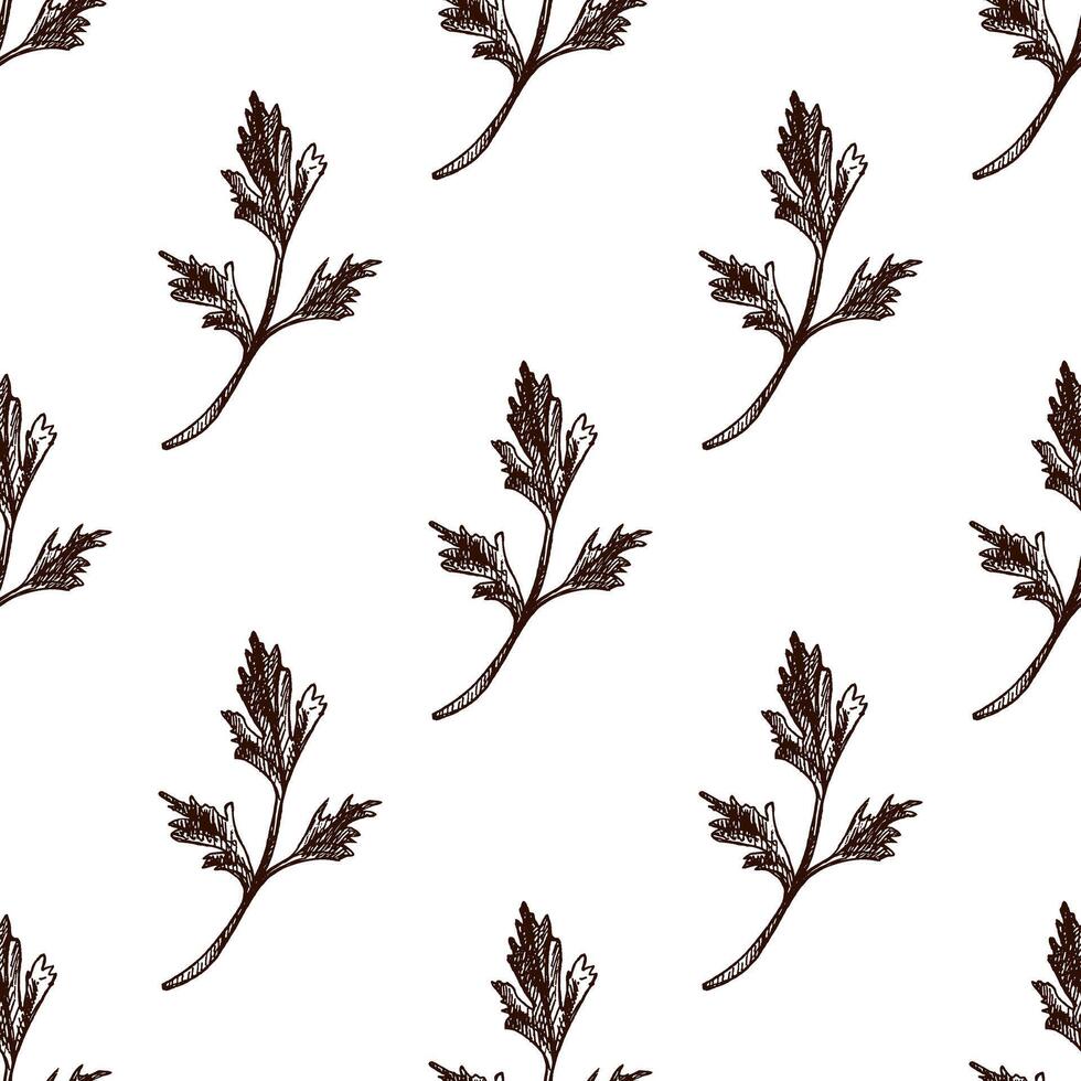 Seamless pattern of parsley leaves in vintage etching sketch style, hand drawn vector