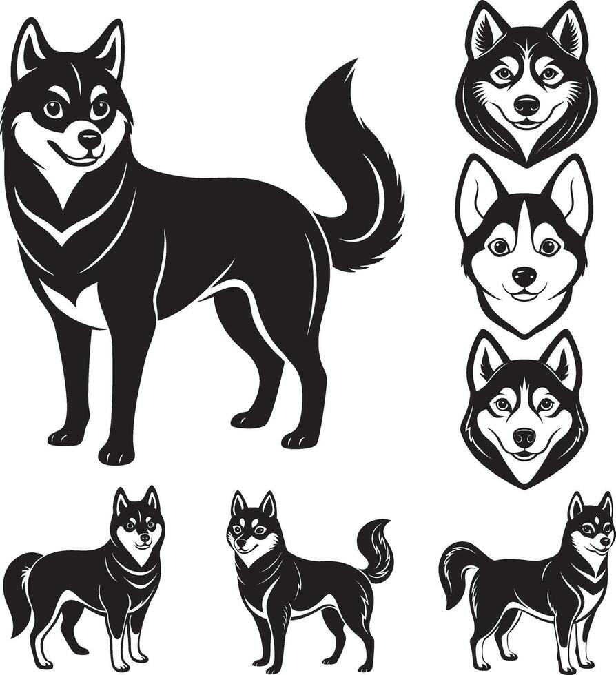 Alaskan Klee Kai Dog 7 Bundel Set vector