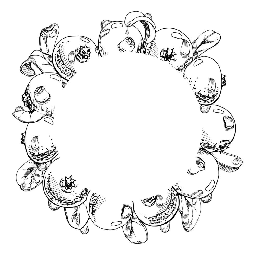 Cranberry lingonberry with water dew drops and green leaves, hand drawn in ink, ripe forest berry bearberry teaberry wintergreen. Isolated circle wreath frame. Dessert cafe menu, farmers market vector