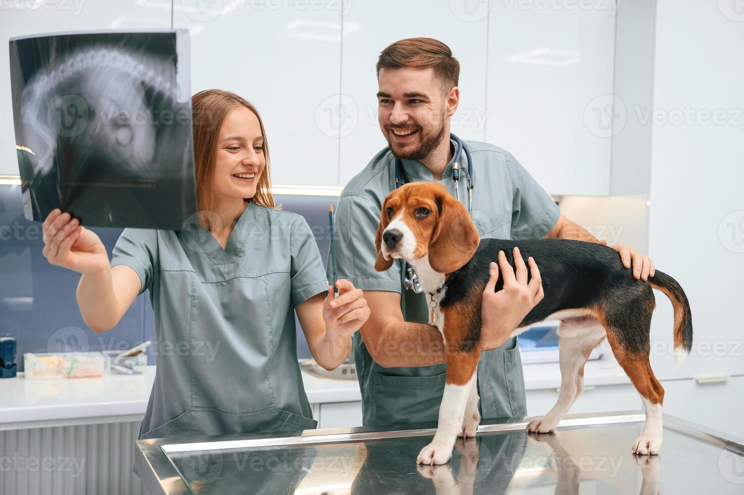 Holding the x-ray. Dog in veterinary ,,clinic with two doctors photo