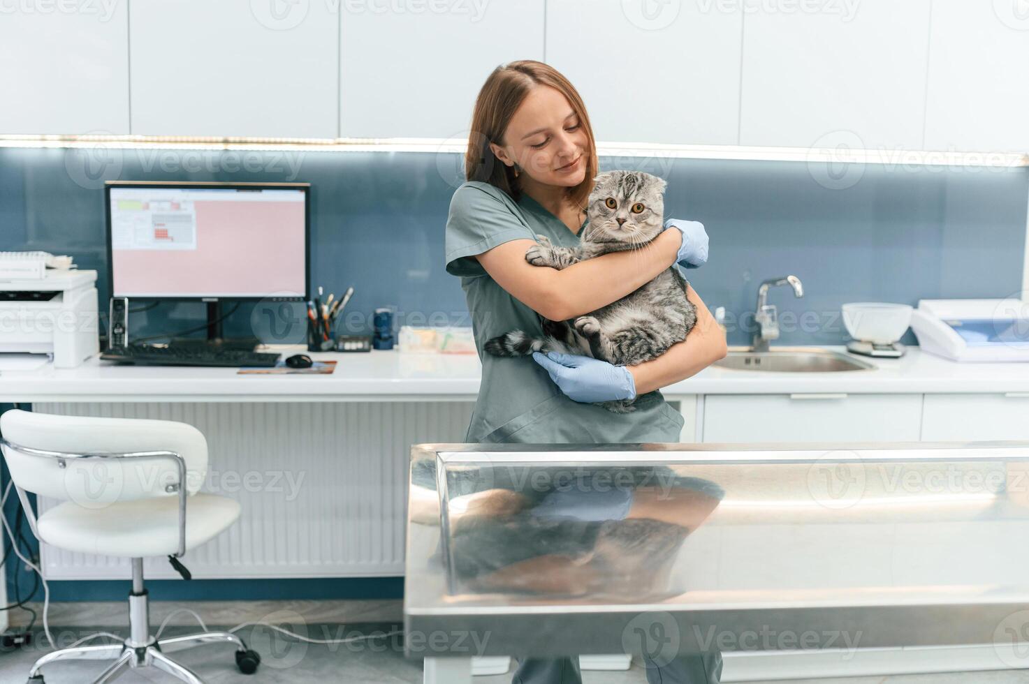 After,, the check up, holding and smiling. Scottish fold cat in the veterinarian clinic with female doctor photo