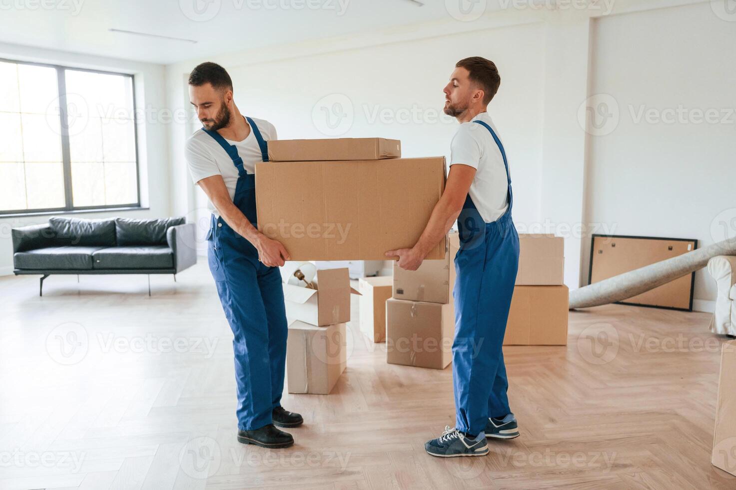 One big heavy box. Two moving service employees in a room photo