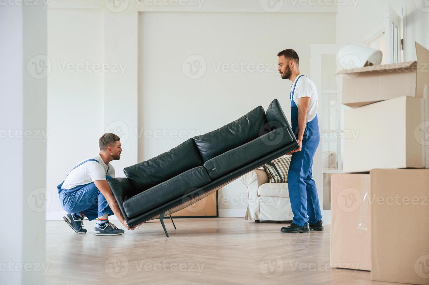 Holding, heavy ,sofa. Two moving service employees in a room photo