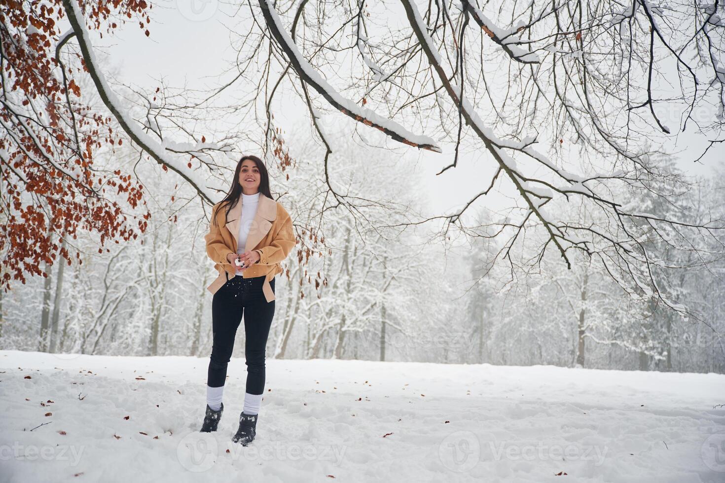 Happy woman is in, the winter forest photo