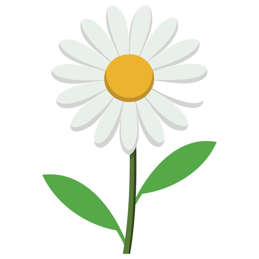 Daisy Bloom Minimal Art vector