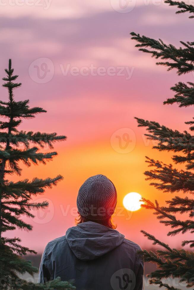Person Watching Vibrant Sunset Behind Pine Trees photo