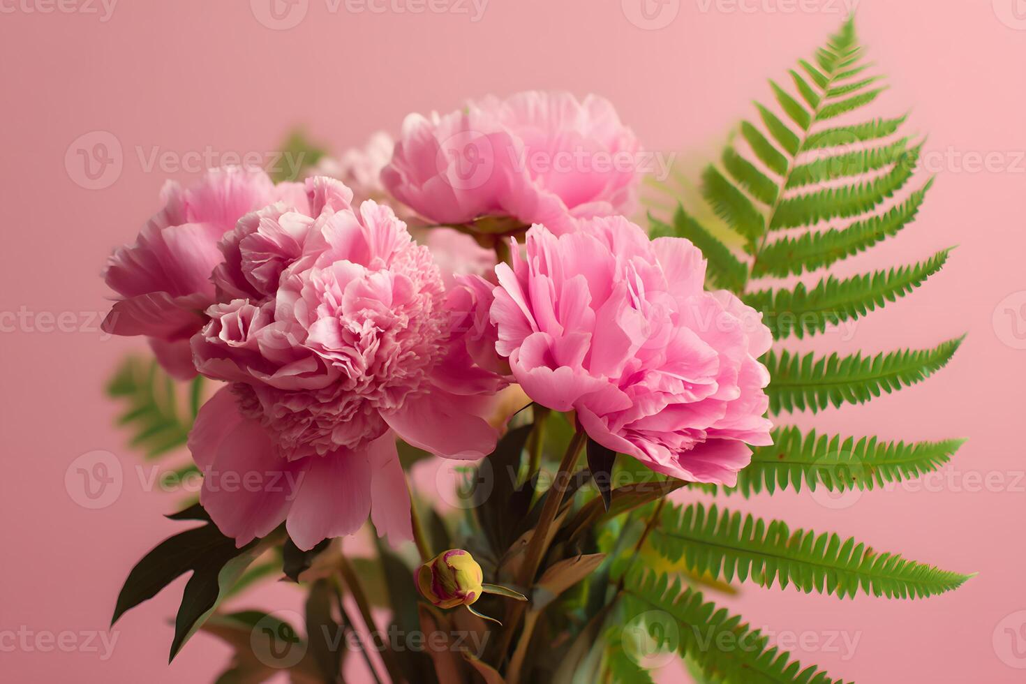 Vibrant pink peonies and roses interwoven with green ferns on a pastel pink backdrop. photo