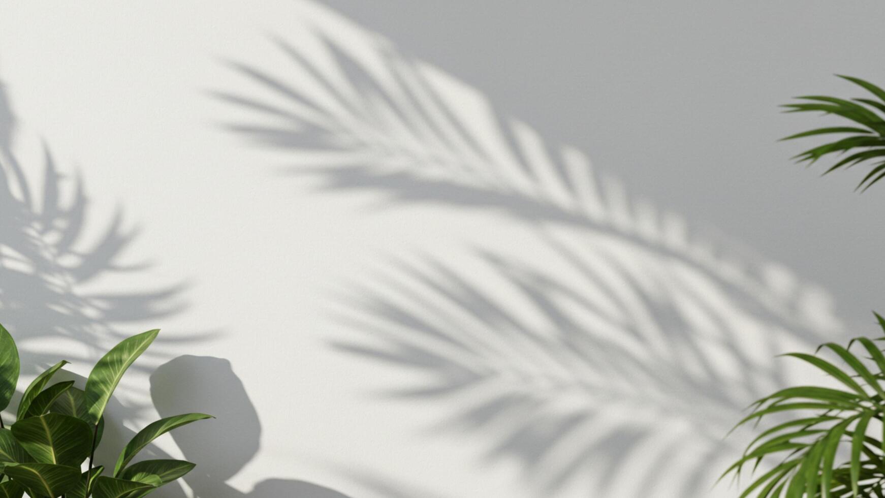 Leaf shadow overlay on white wall, ideal for minimalist summer-themed design or background use. photo