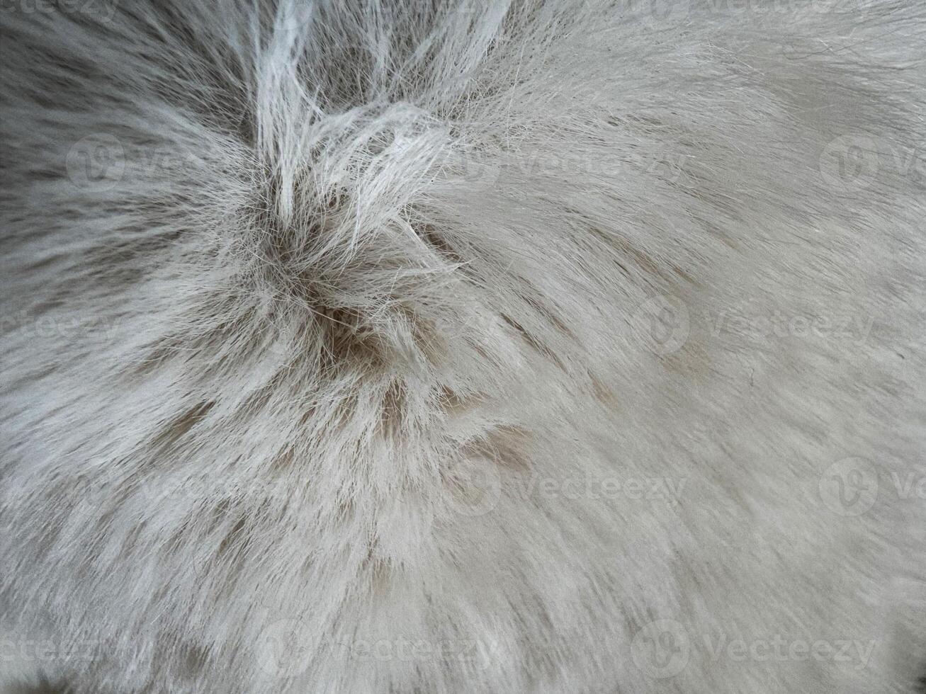 Soft and fluffy grey fur texture captured in natural light during daylight hours photo