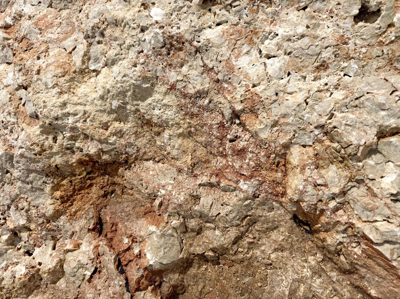 Textured rock surface with earthy tones in a natural outdoor setting during daylight hours photo