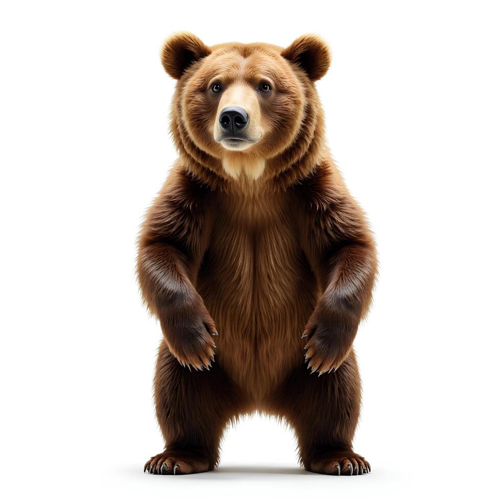 Realistic standing bear with fluffy fur and expressive face photo