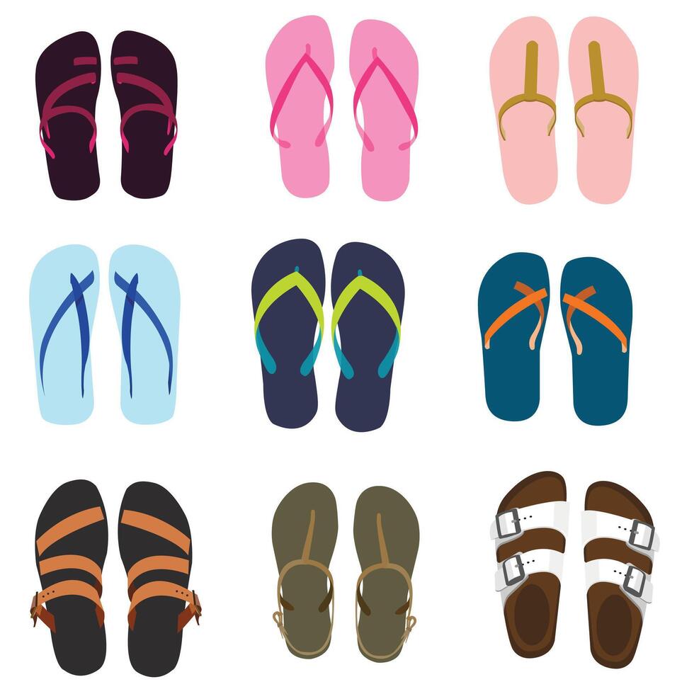 A colorful variation of flip flops summer shoes vector