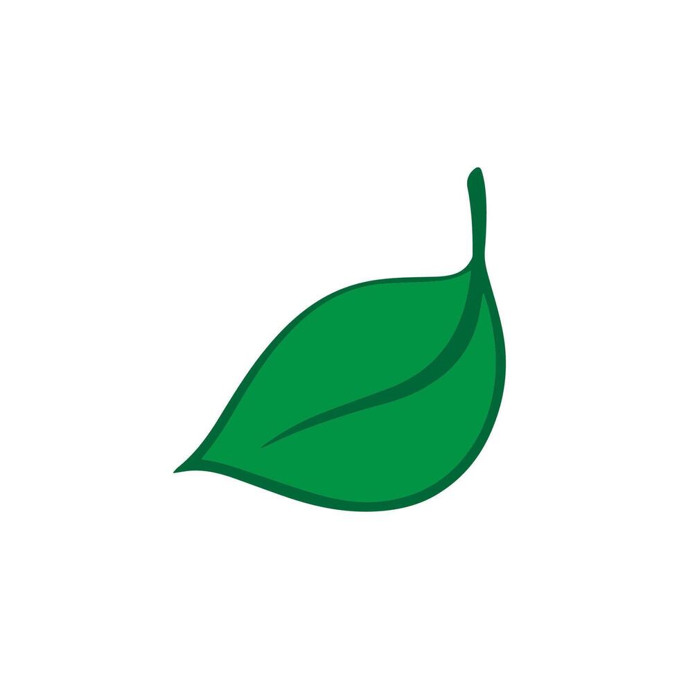a green leaf icon on a white background vector