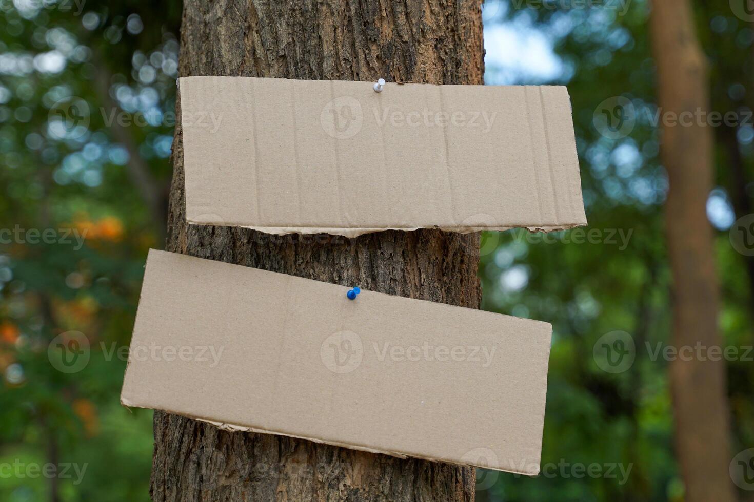 Crate paper signs on the tree for writing environmental campaign messages and forest conservation. photo