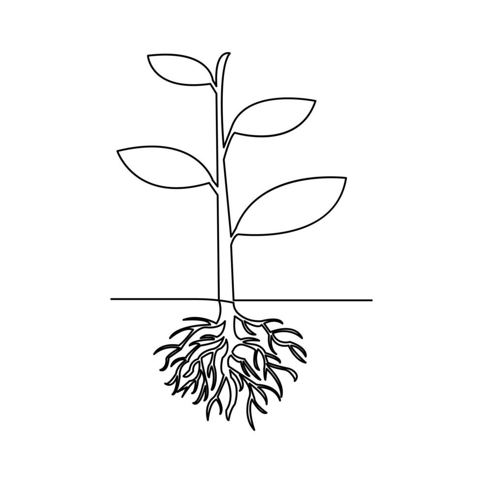 Continuous Line Drawing Plant Icon Minimalist Style Outline Illustration vector