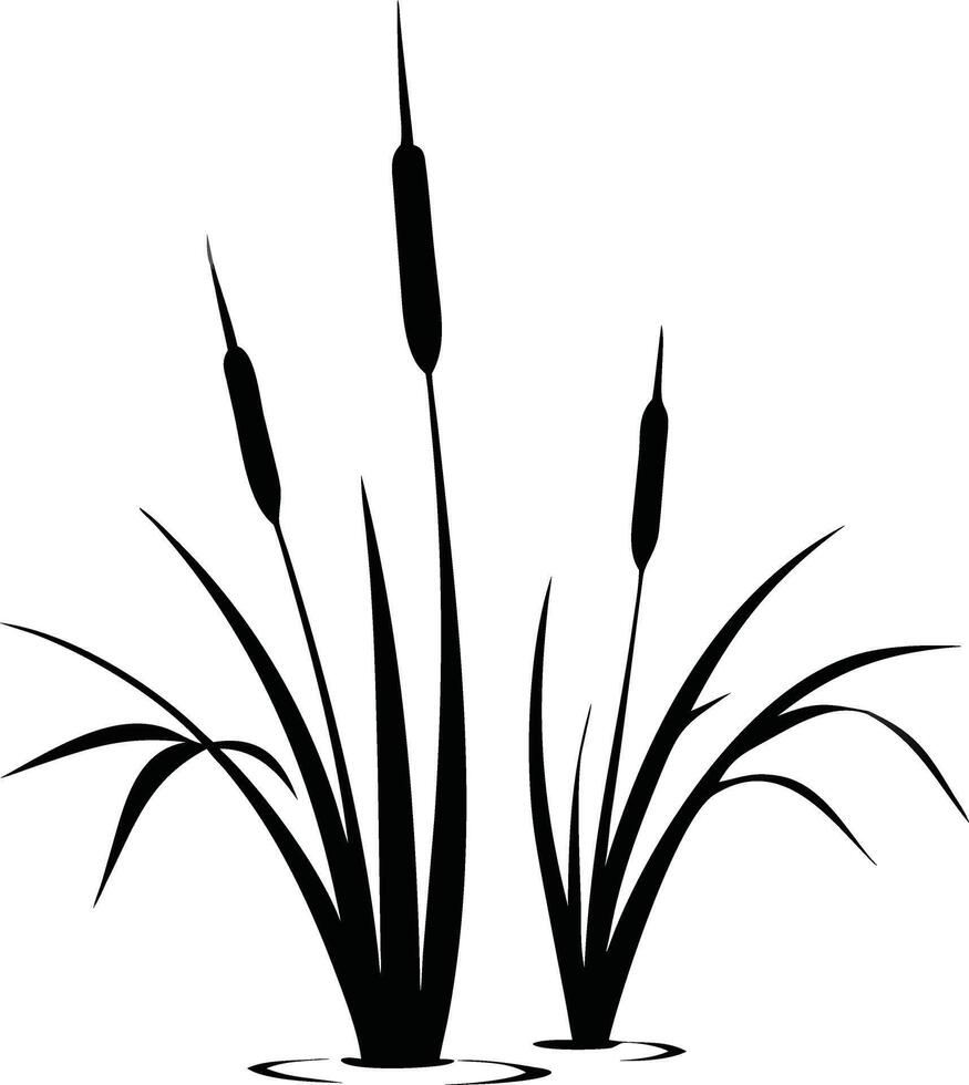 Cattails and Marsh Grass Silhouette Black and White Minimalist Illustration vector