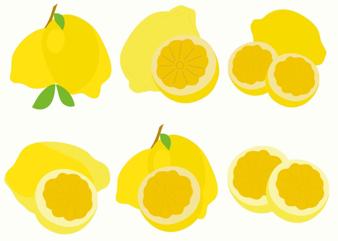 Set of fruits lemon illustration vector