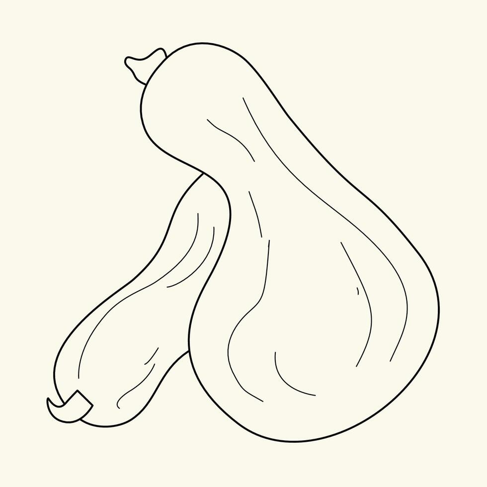 The flat pumpkin coloring page vector