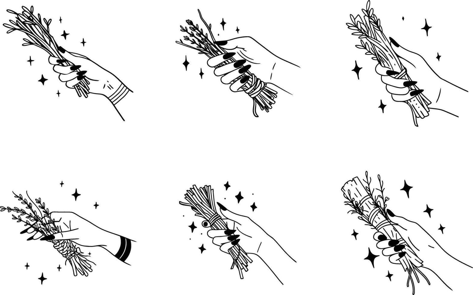 Witchy hands holding herbs and twigs illustration for magical design elements vector