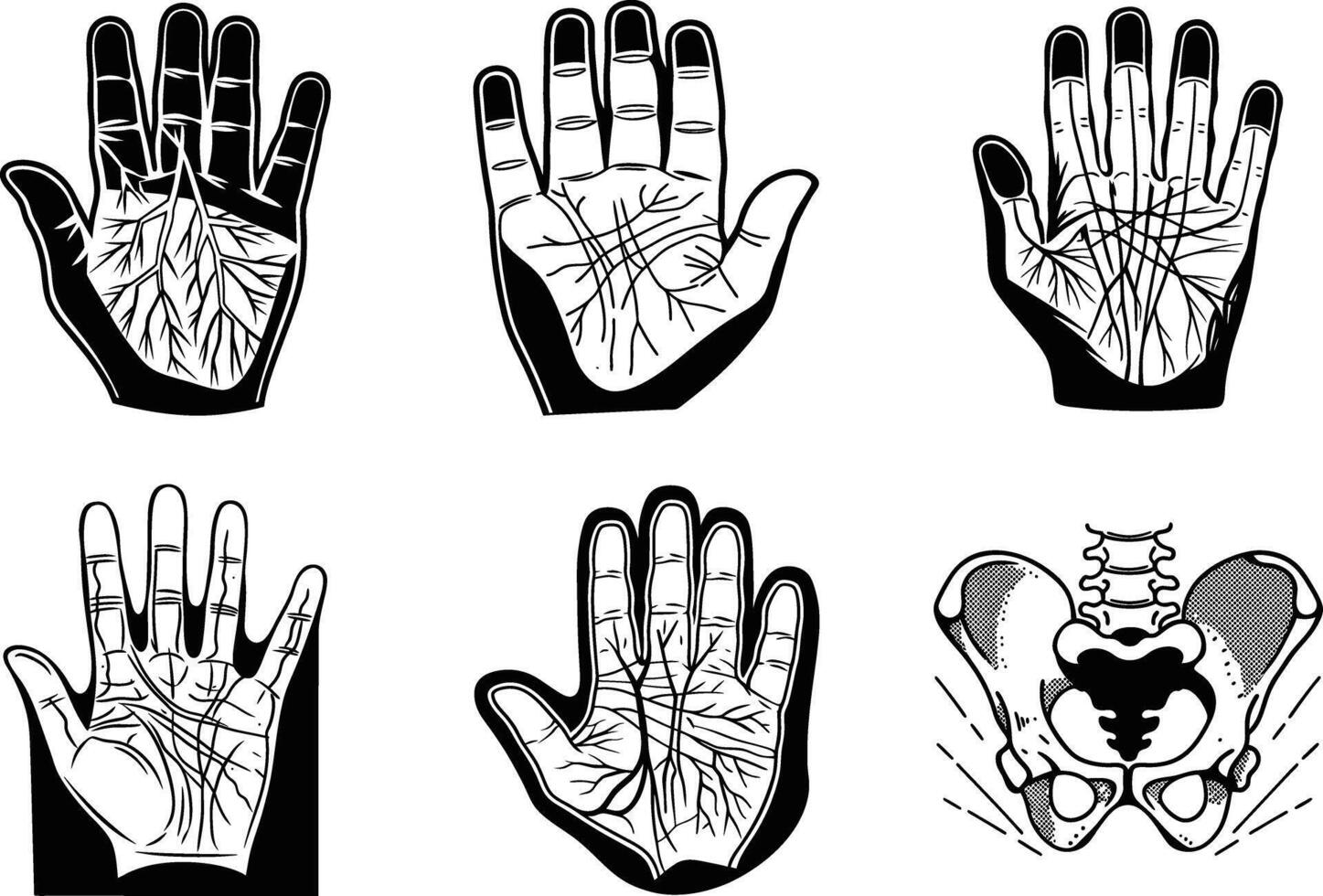 Palmistry hand illustration set of hand drawn palm reading and hip bone anatomy vector