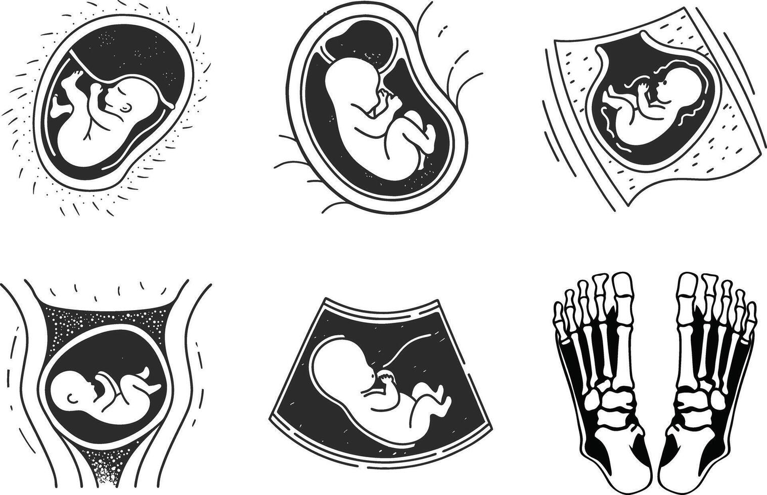Pregnancy stages and anatomy in black and white linear graphics vector