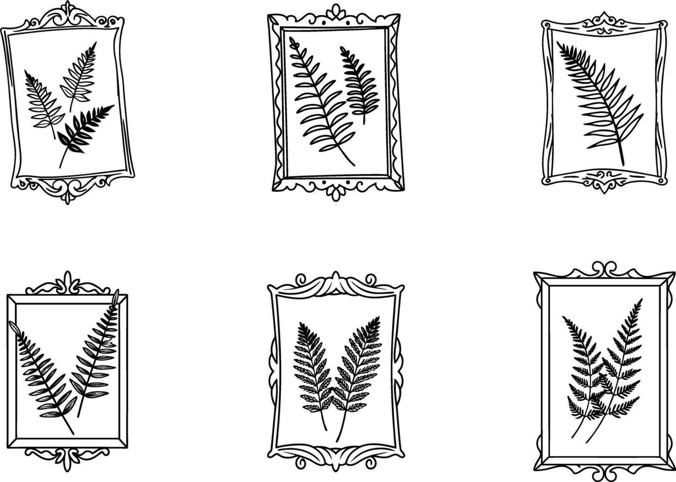 Fern leaves in ornamental frames black and white botanical illustration vector