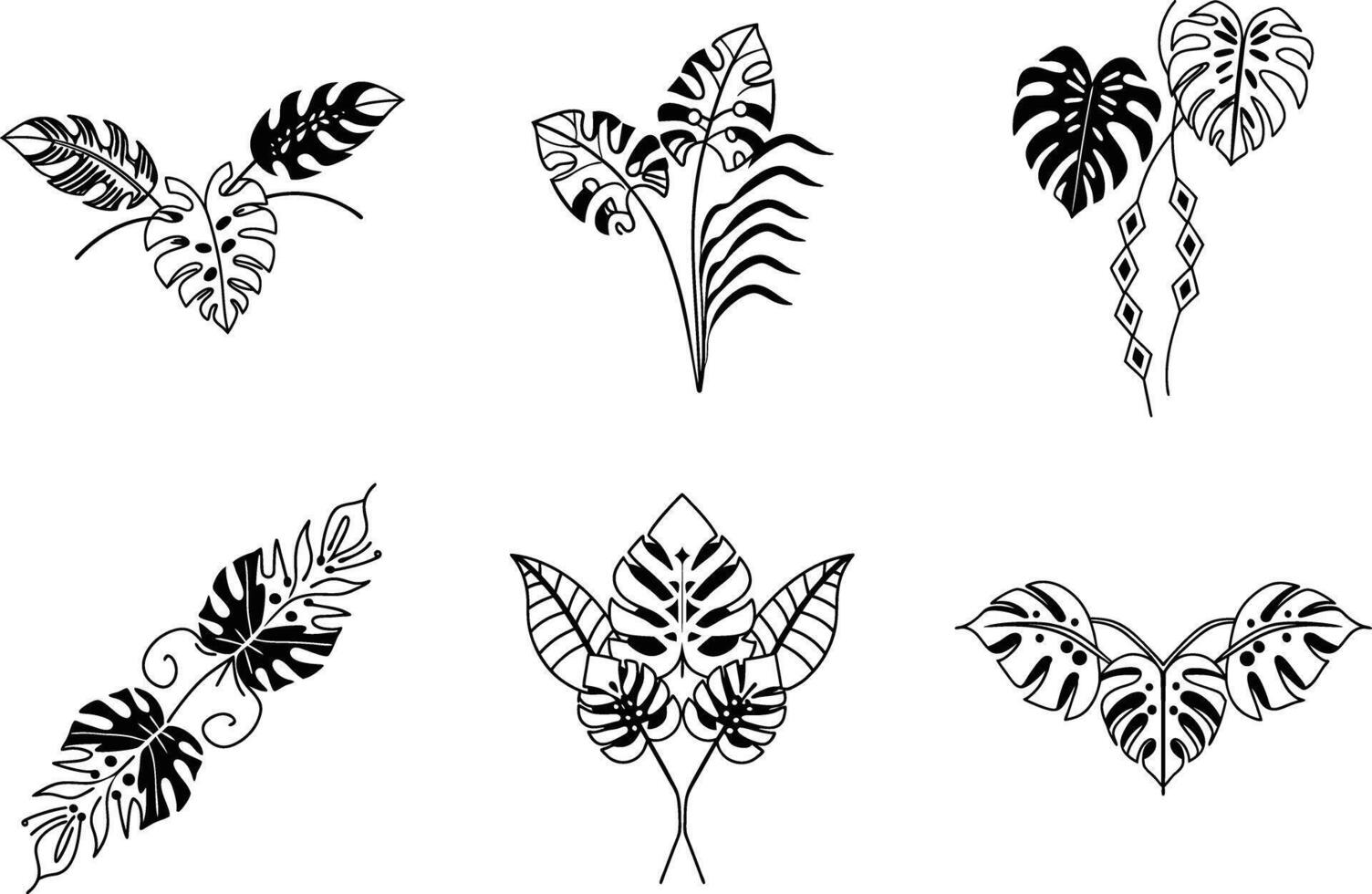Monstera leaf outlines botanical design elements tropical foliage illustrations vector