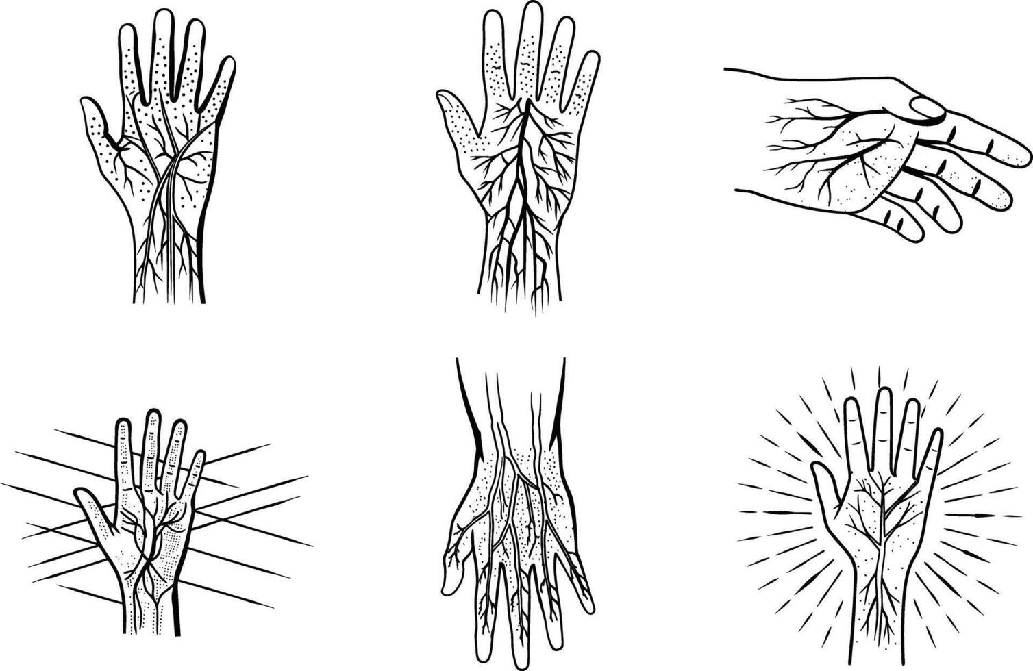 Collection of human hand designs with veins in black and white style vector
