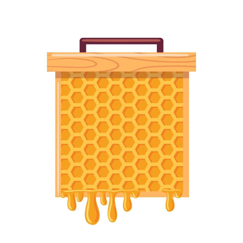A illustration of a honeycomb frame showcasing intricate hexagonal shapes filled with golden honey. design highlights the natural beauty of beekeeping, perfect for organic and culinary themes. vector