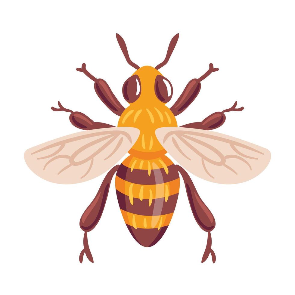 A vibrant illustration of a bee, featuring detailed wings and a fuzzy body, symbolizing nature s harmony and the essential role of pollinators. vector