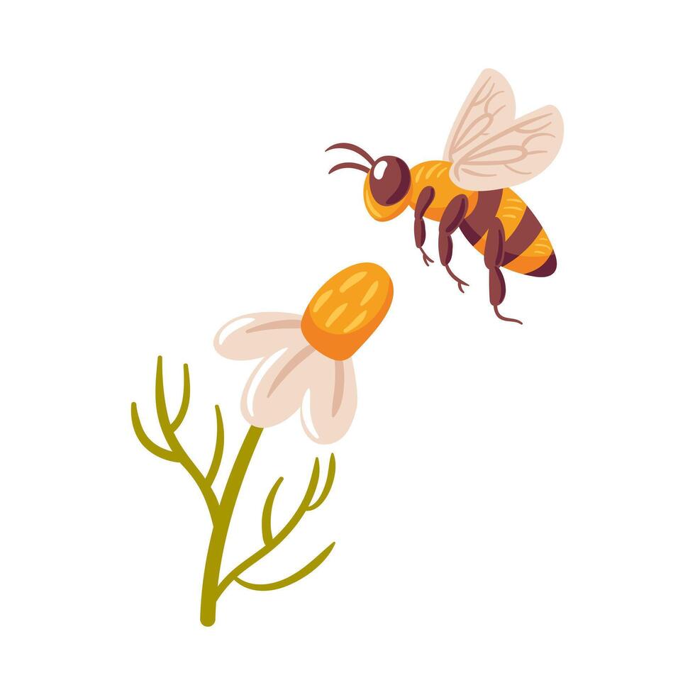 A illustration depicting a bee in mid-flight, gracefully approaching a vibrant daisy. scene captures the essence of spring, highlighting the bees vital role in pollination and natures beauty. vector
