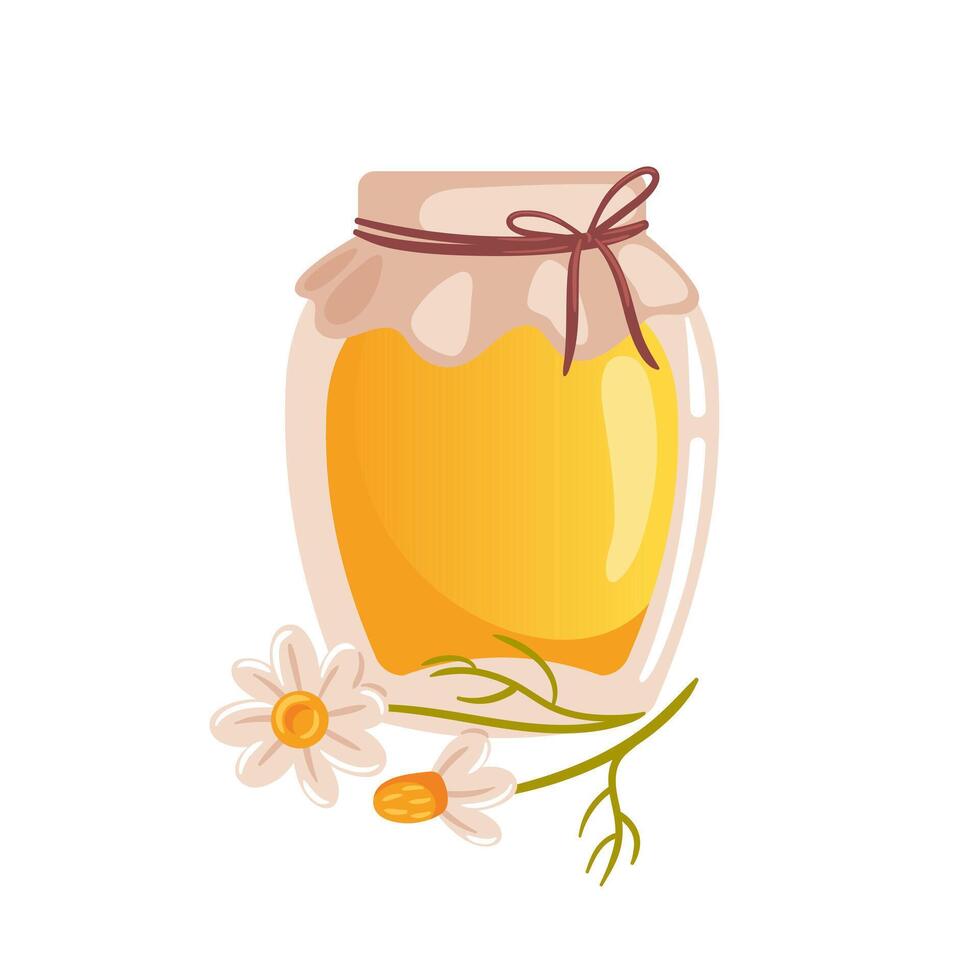 A charming illustration depicting a jar of wildflower honey alongside a delicate chamomile flower. The warm honey glows in the light, highlighting the natural beauty and sweet essence of nature vector