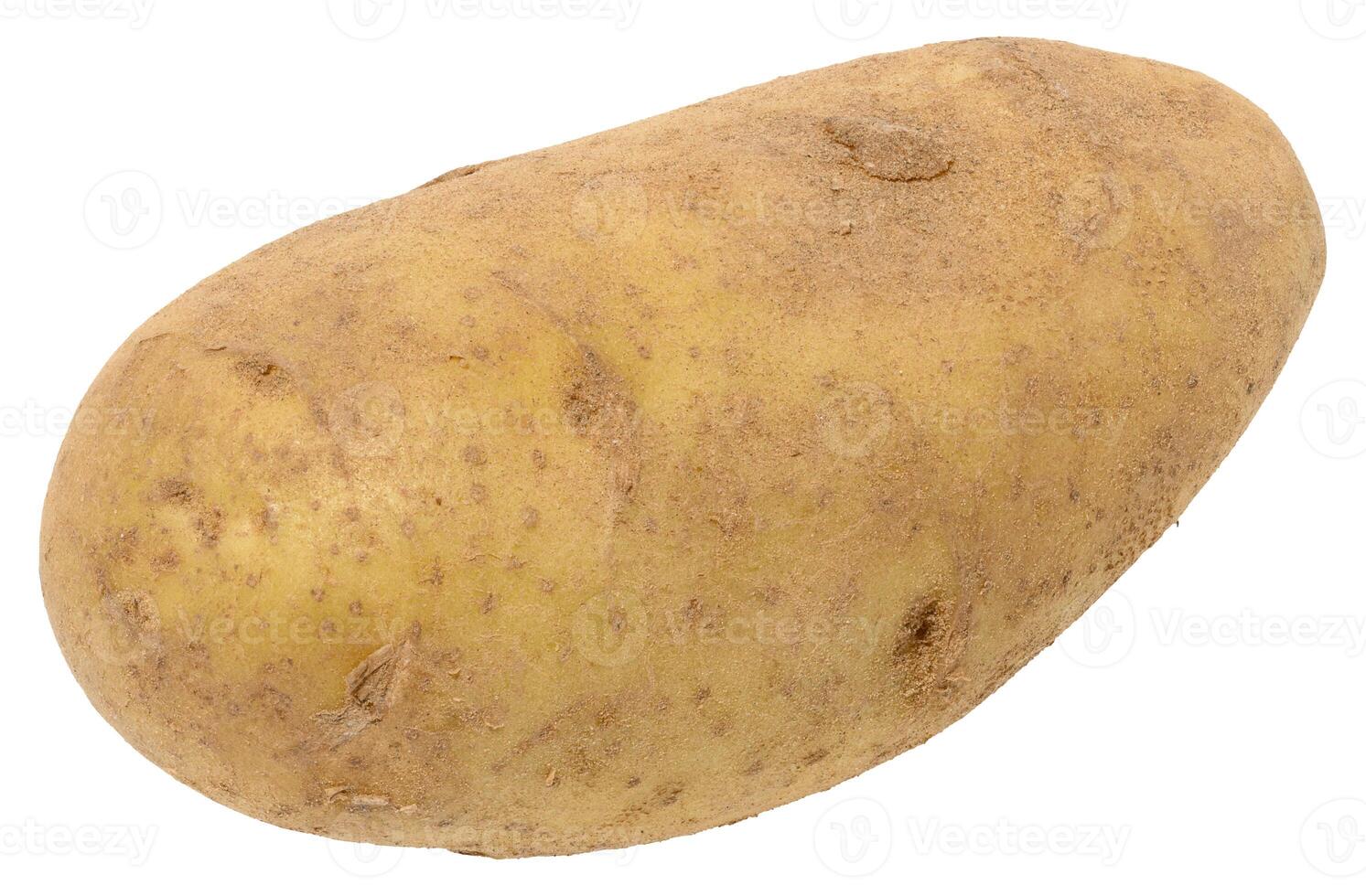 Whole potato with a light brown, slightly rough skin, isolated background. The potato has an oval shape photo